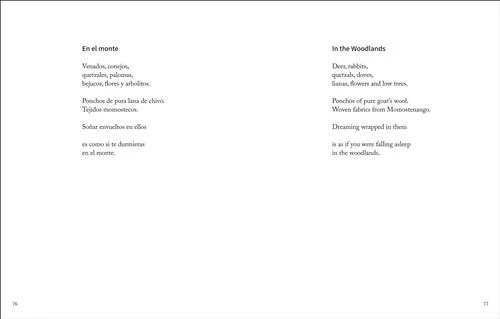 Aquí era el paraíso / Here Was Paradise - Image 4