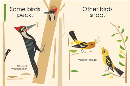 Busy, Busy Birds - Image 4