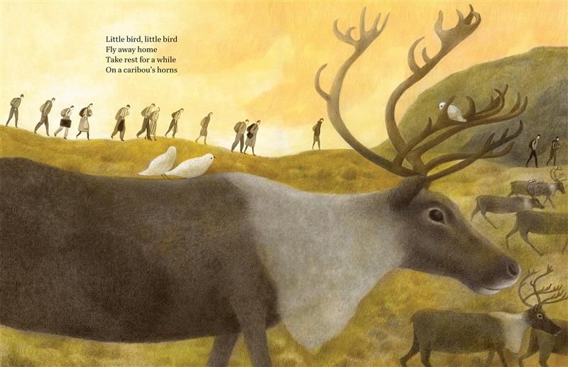 Fly Away Home - Image 4