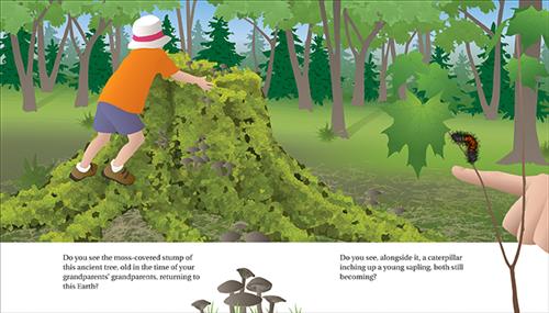 Forest: A See to Learn Book - Image 3