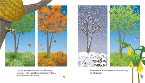 Forest: A See to Learn Book - Image 4