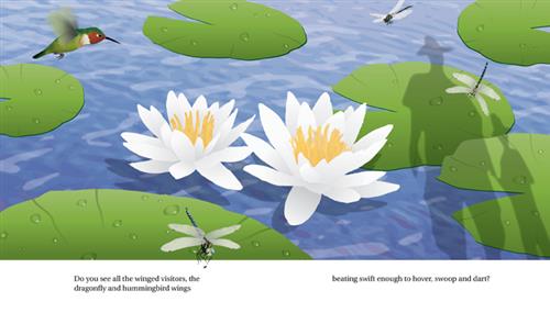 Lake: A See to Learn Book - Image 3