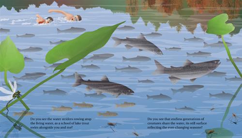 Lake: A See to Learn Book - Image 4