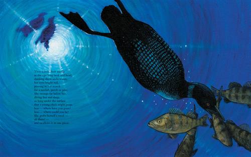 Loon - Image 3