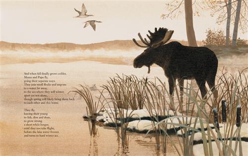 Loon - Image 4