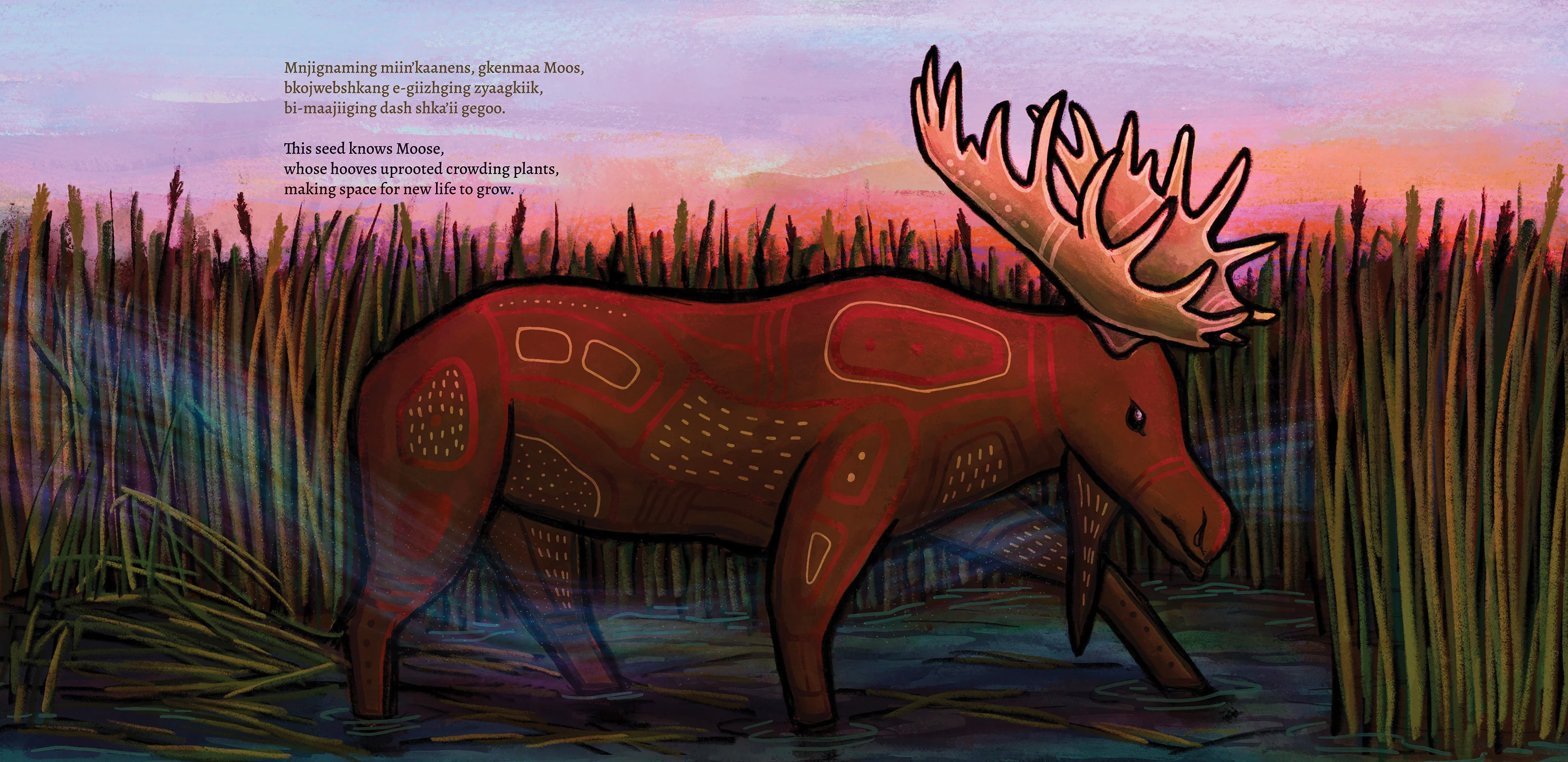 Mnoomin maan'gowing / The Gift of Mnoomin - Image 4