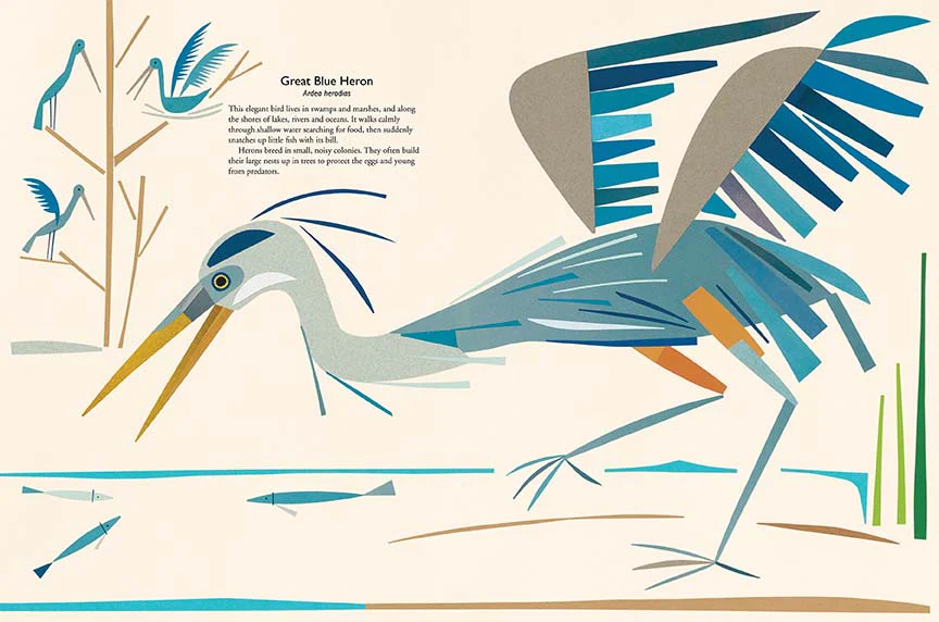 My Book of Birds - Image 3