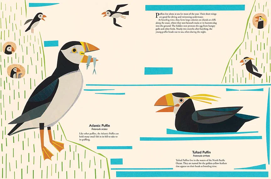 My Book of Birds - Image 4