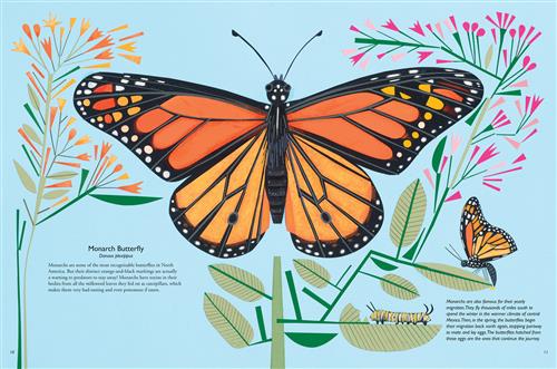 My Book of Butterflies - Image 3