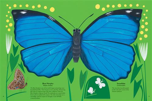 My Book of Butterflies - Image 4