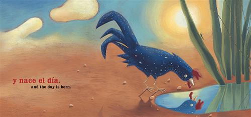 Rooster / Gallo - Image 3