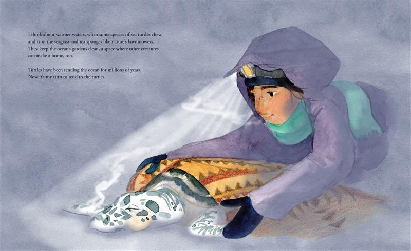Taking Turns with Turtles - Image 3