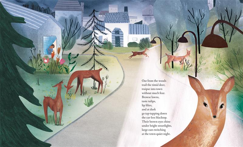 The Animals Come Out - Image 3