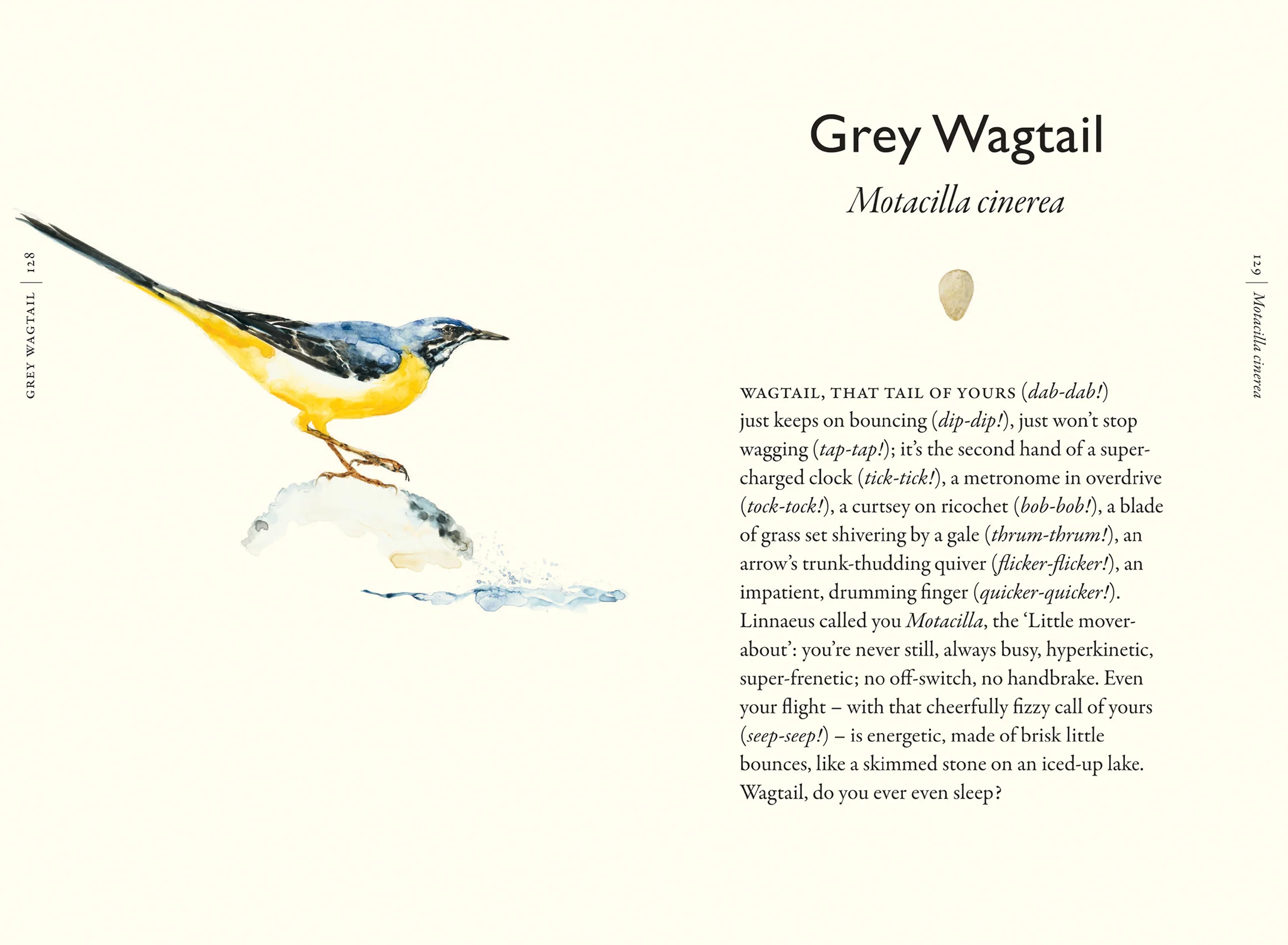 The Book of Birds - Image 2