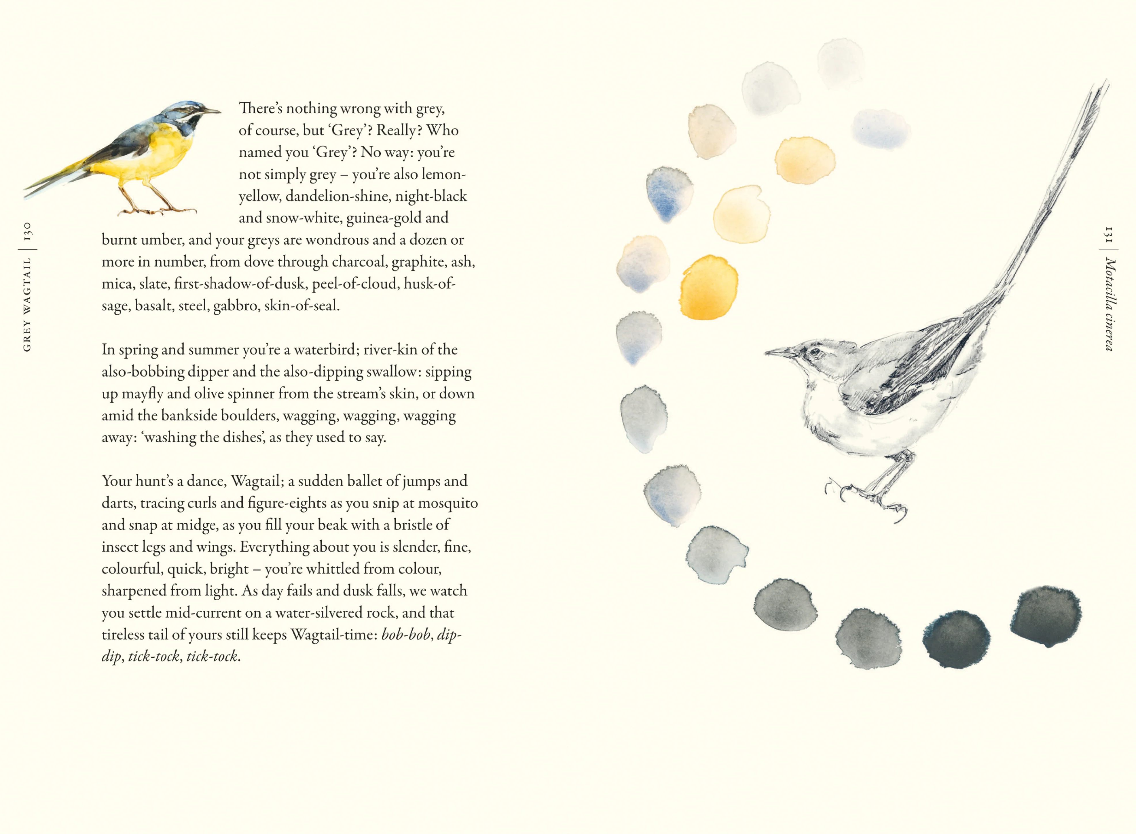 The Book of Birds - Image 3