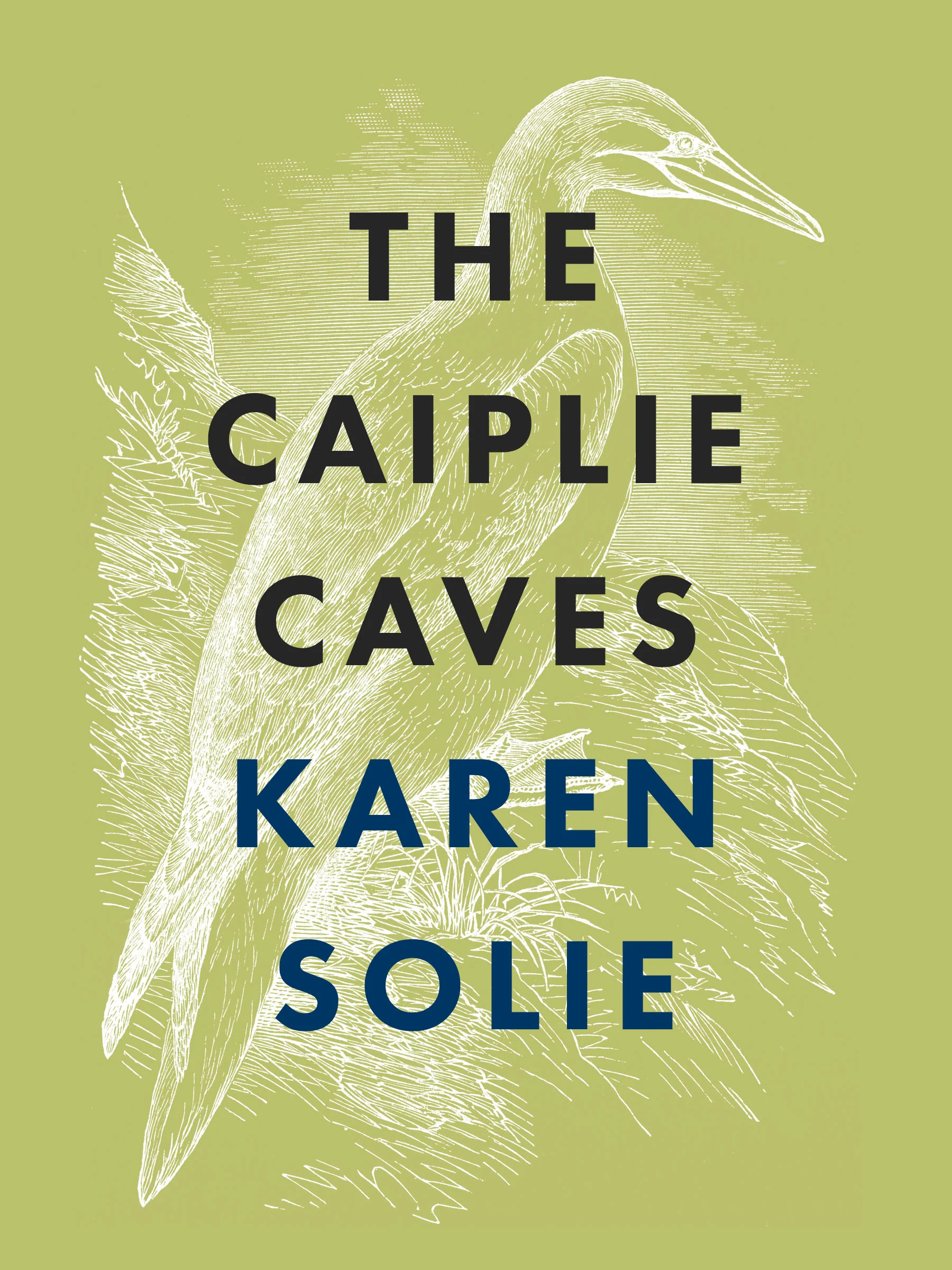 The Caiplie Caves