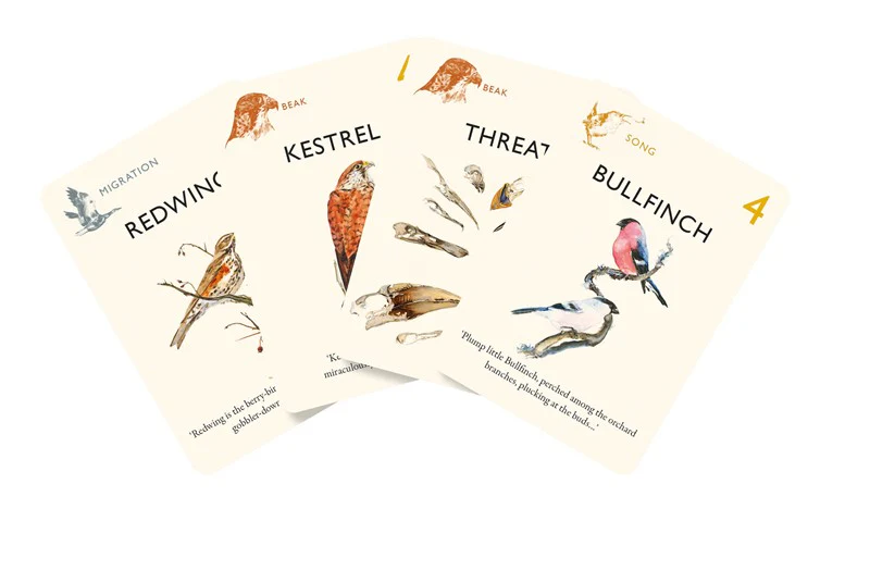 The Game of Birds - Image 3