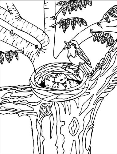 The Joyful Living Colouring Book - Image 3