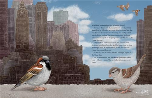 The Triumphant Tale of the House Sparrow - Image 2