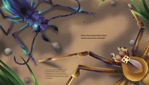 Time to Shine - Image 3