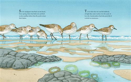 West Coast Wild - Image 5