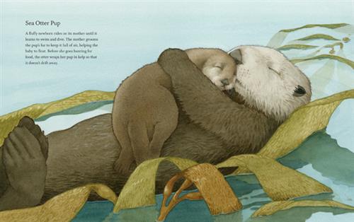 West Coast Wild Babies - Image 4